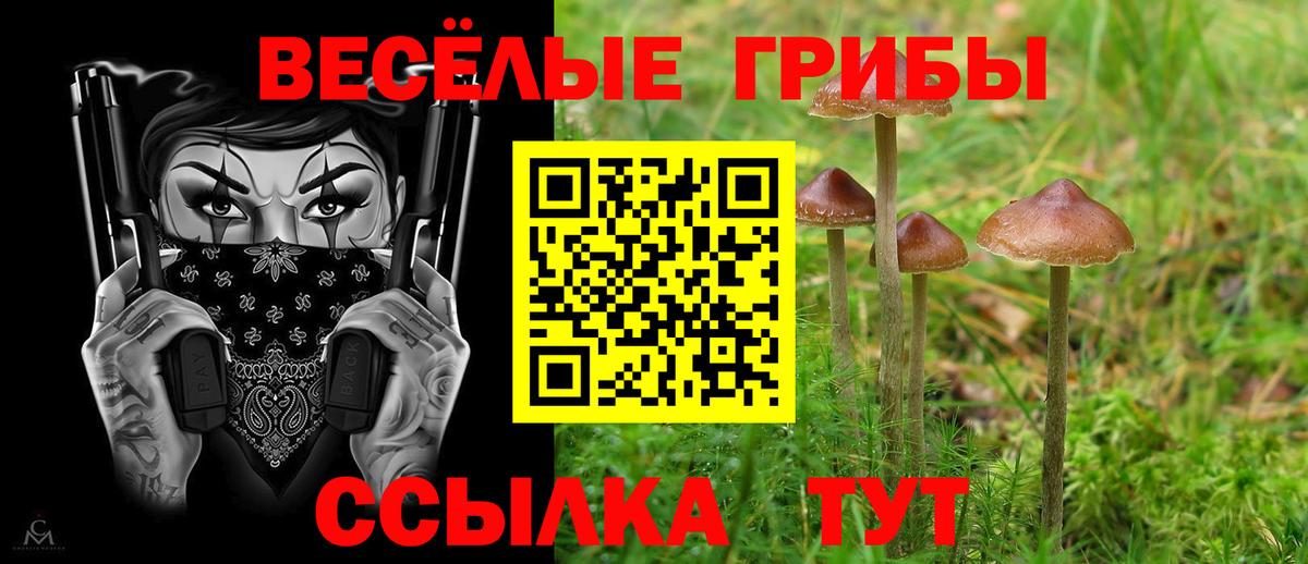 Железногорск  Галлюциногенные грибы прущие грибы  как найти наркотики  Вход с VPN 