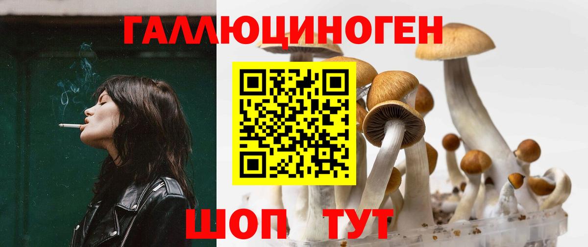 Псилоцибиновые грибы мухоморы Железногорск